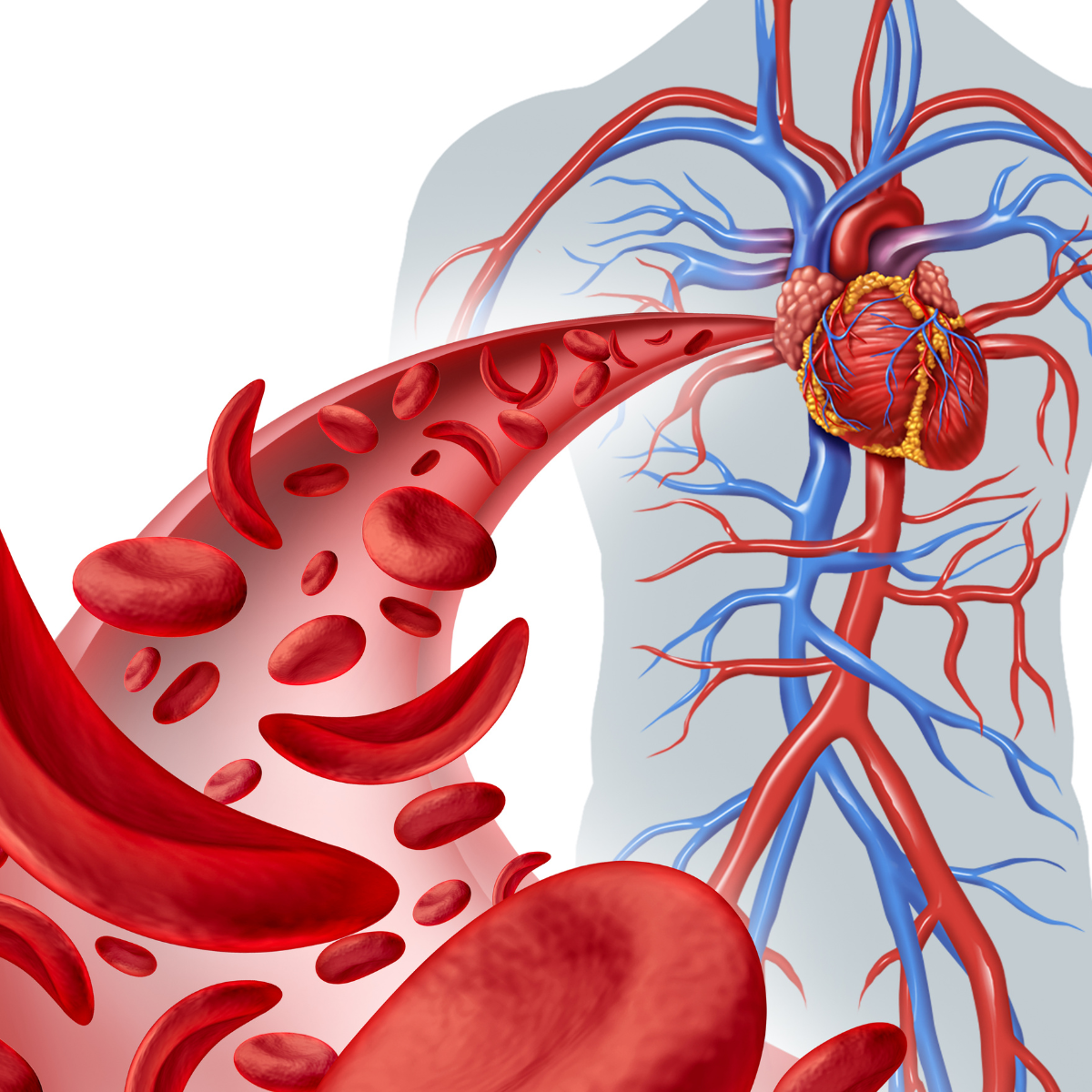 Enhance Circulation - Hot Tub Guide